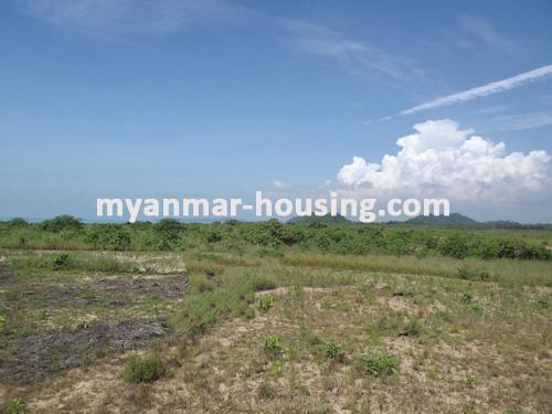 Myanmar real estate - land property - No.1102 - Good for doing  hotel in Kyauk Phyu ! - view of the wide land