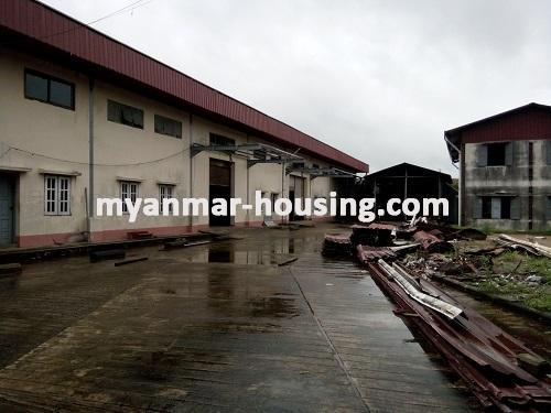 ミャンマー不動産  - 土地物件 - No.2482 - Warehouse for rent in Hlaing Thar Yar Zone (4)! - 