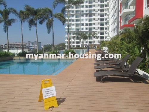 Myanmar real estate - for rent property - No.3468 - Modern decorated a new condominium for rent in G.E.M.S Condo. - View of Swimming pool
