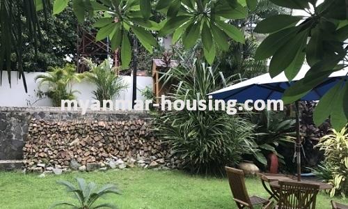 Myanmar real estate - for rent property - No.3605 - Modernize decorated a landed house for rent in 7 Mile Mayangone Township. - View of the compound