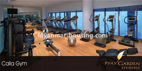 Myanmar real estate - for rent property - No.4811 - Luxurious Pyay Garden Residential Room for rent in Sanchaung Township. - gym room view