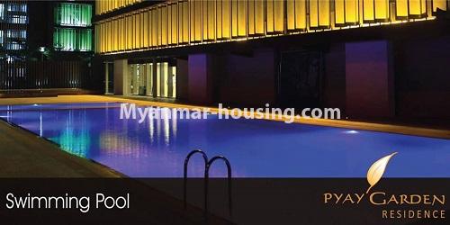 Myanmar real estate - for rent property - No.4811 - Luxurious Pyay Garden Residential Room for rent in Sanchaung Township. - swimming pool view