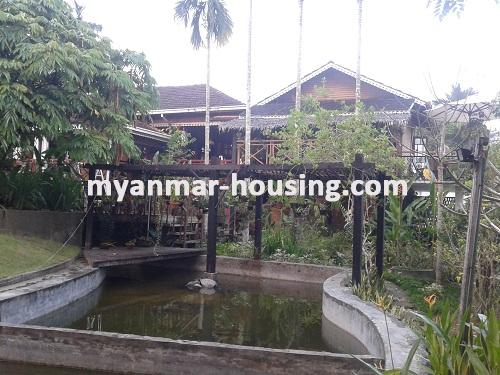 Myanmar real estate - for sale property - No.2294 - Hotel design decorated by teak near Golf stadium! - Beautiful house with garden view.