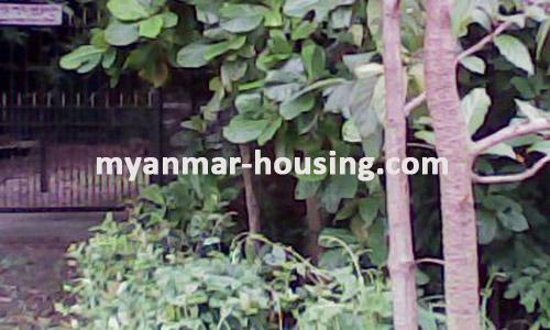 Myanmar real estate - land property - No.1013 - Do you want to do factory and another business! - view of the land housed