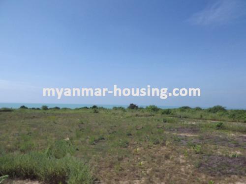 မြန်မာအိမ်ခြံမြေ -ခြံမြေနှင့် စက်ရုံဆက်စပ် ပိုင်ဆိုင်မှုများ property - No.1102 - N/A - view of the wide land