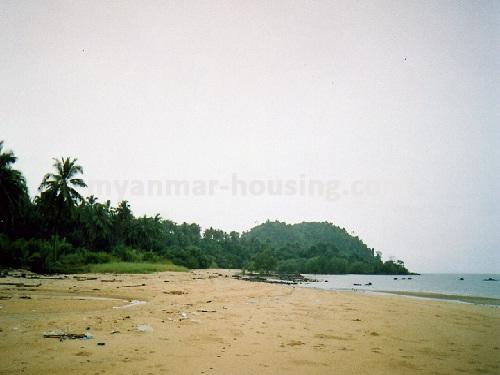 Myanmar real estate - land property - No.1499 - Natural beauty place for sale to do investment ! - View of the beach .
