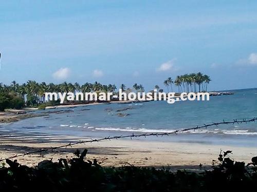 Myanmar real estate - land property - No.2239 - Normal land for sale in Pathein ! - 