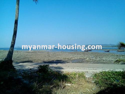 缅甸房地产 - 土地物件 - No.2239 - Normal land for sale in Pathein ! - 