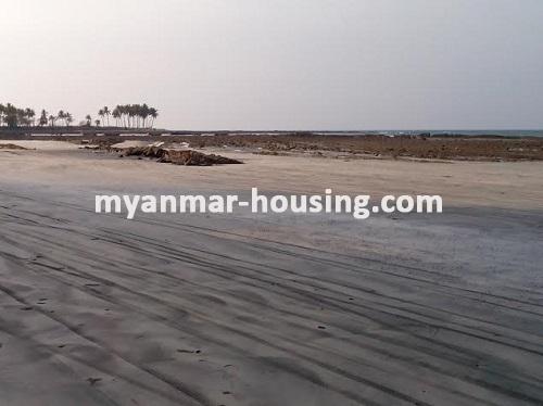 Myanmar real estate - land property - No.2239 - Normal land for sale in Pathein ! - 