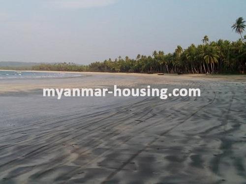 缅甸房地产 - 土地物件 - No.2239 - Normal land for sale in Pathein ! - 