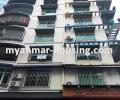 မြန်မာ အိမ်ခြံမြေ အကျိုးဆောင် - ငှားရန် property - No.1170