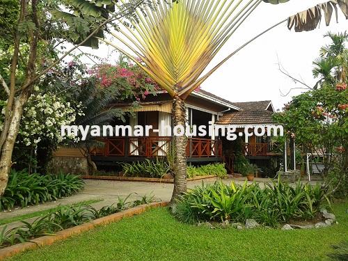 ミャンマー不動産 - 賃貸物件 - No.1746 - House like motel in Insein! - Front view of beautiful house.
