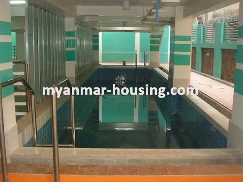 မြန်မာအိမ်ခြံမြေ - ငှားရန် property - No.2333 - N/AView of the swimming pool.