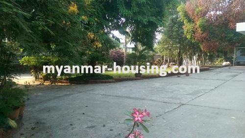 Myanmar real estate - for rent property - No.2520 - For rent a big landed house with wide land space near U Wisara Road. - 