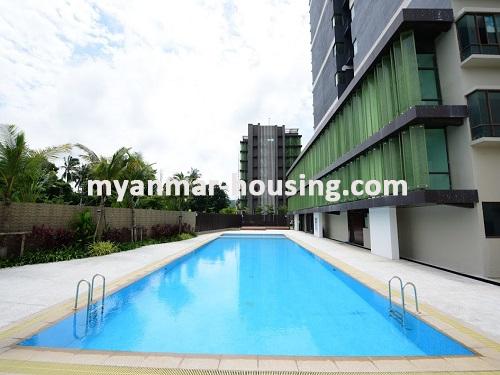Myanmar real estate - for rent property - No.3237 - Modern Luxury Condominium room for rent in Pyay Garden Residence  - View of Swimming Pool