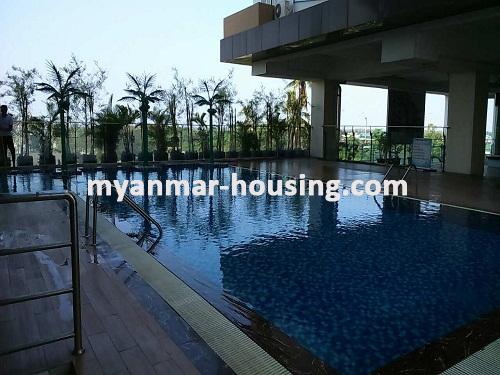 ミャンマー不動産 - 賃貸物件 - No.3409 - A new Condo room for rent in River view point Condo at Ahlone Township. - View of swimming Pool