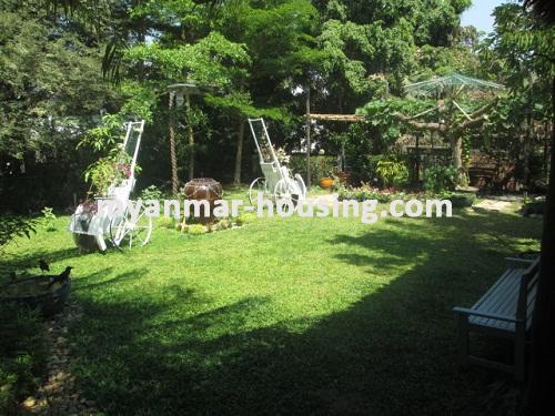 Myanmar real estate - for rent property - No.3419 - A Two Storey landed house for rent in Mayangone Township. - View of the compound