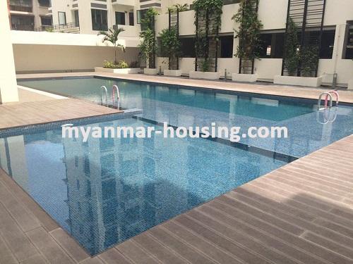 ミャンマー不動産 - 賃貸物件 - No.3438 - Modernize decorated Condo room for rent in Malikha Condo. - View of the swimming pool