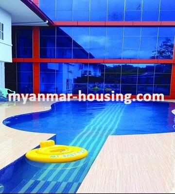 Myanmar real estate - for rent property - No.3472 - A three Storey landed House for rent in South Okkalapa. - View of Swimming pool