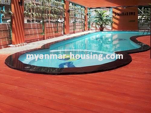 မြန်မာအိမ်ခြံမြေ - ငှားရန် property - No.3499 - မဟာဆွေ ကွန်ဒိုတွင် အခန်းကောင်းတစ်ခန်းဌားရန် ရှိသည်။ View of the swimming pool