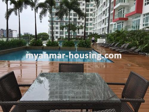 缅甸房地产 - 出租物件 - No.3500 - Well decorated Condo room for rent in GEMS Condo. - View of the Swimming Pool
