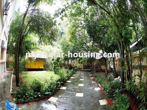Myanmar real estate - for rent property - No.3511 - A grand house with large compound in Bahan! - compond view