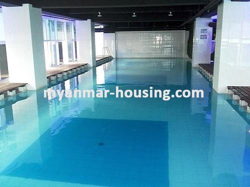 缅甸房地产 - 出租物件 - No.3533 - A Condominium room for rent in Orchid Condo, Ahlone Township - View of Swimming pool