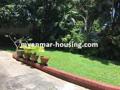 Myanmar real estate - for rent property - No.3597 - One Storey landed house for rent in Bahan Township. - View of the compound
