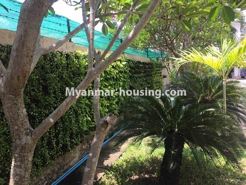 Myanmar real estate - for rent property - No.3809 - Landed house in quiet place near Myanmar Plaza for rent in Bahan! - fence built of brick veiw