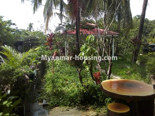 Myanmar real estate - for rent property - No.3979 - Landed house for rent in Mingalardon Twonship. - compound yard view