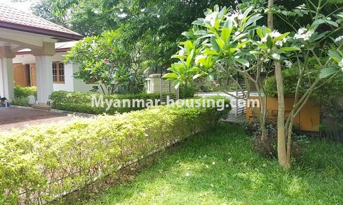 Myanmar real estate - for rent property - No.4014 - Landed house for rent in Lawkanat Housing Haling! - lawn view