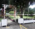Myanmar real estate - for rent property - No.4111