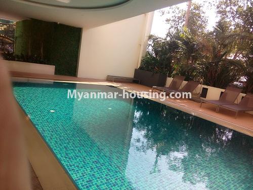 Myanmar real estate - for rent property - No.4179 - New residential condo building for rent in Ahlone! - swimming pool view