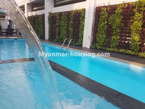 Myanmar real estate - for rent property - No.4393 - One bedroom serviced apartment for rent in Bahan! - swimming pool view