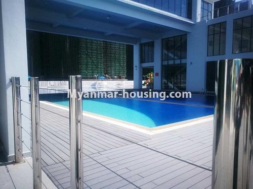 ミャンマー不動産 - 賃貸物件 - No.4420 - New building and decorated condominium room for rent in Thin Gan Gyun - swimming pool