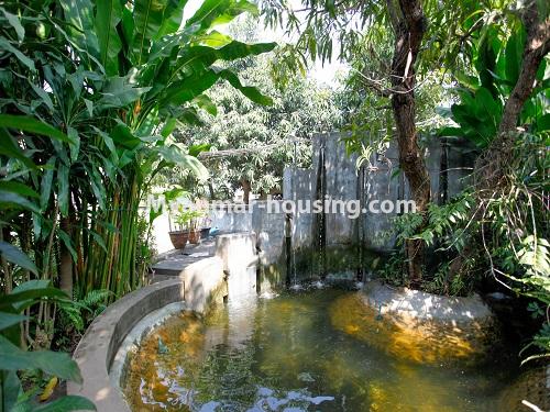 Myanmar real estate - for rent property - No.4510 - Lovely furnished one storey landed house for rent in 10 mile, Insein! - pond view