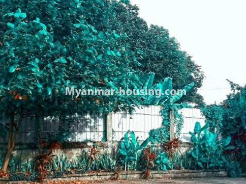 Myanmar real estate - for rent property - No.4535 - Landed house with 8 bedrooms for rent in 8 Mile, Mayangone! - compound view