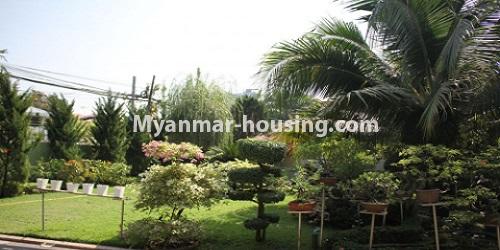 Myanmar real estate - for rent property - No.4725 - Half and one storey landed house with large yard for rent in Yankin - garden view