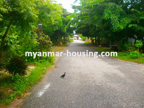 မြန်မာအိမ်ခြံမြေ - ရောင်းမည် property - No.1420 - N/A - view or the street