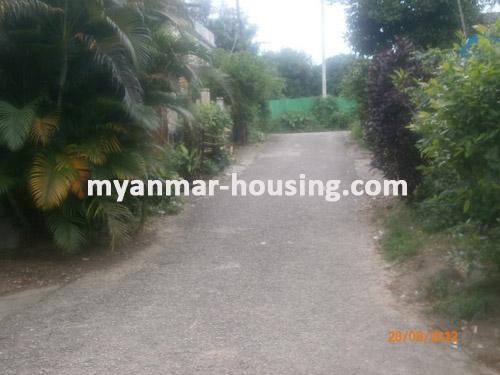မြန်မာအိမ်ခြံမြေ - ရောင်းမည် property - No.1438 - N/A - View of the street