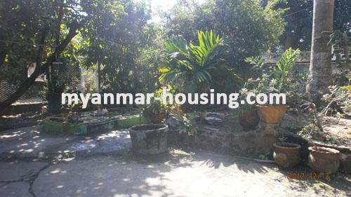 မြန်မာအိမ်ခြံမြေ - ရောင်းမည် property - No.1647 - N/A - View of the garden.