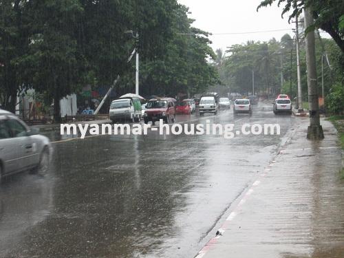 မြန်မာအိမ်ခြံမြေ - ရောင်းမည် property - No.2396 - N/A - View of the road.